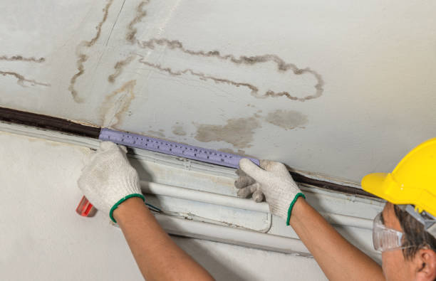Reliable Mold Remediation contractor in Rushsylvania, OH by Water Damage Irwin